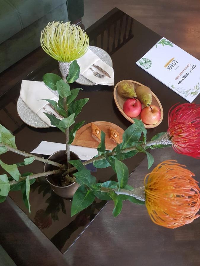 Citrus Boutique Hotel باكو المظهر الخارجي الصورة