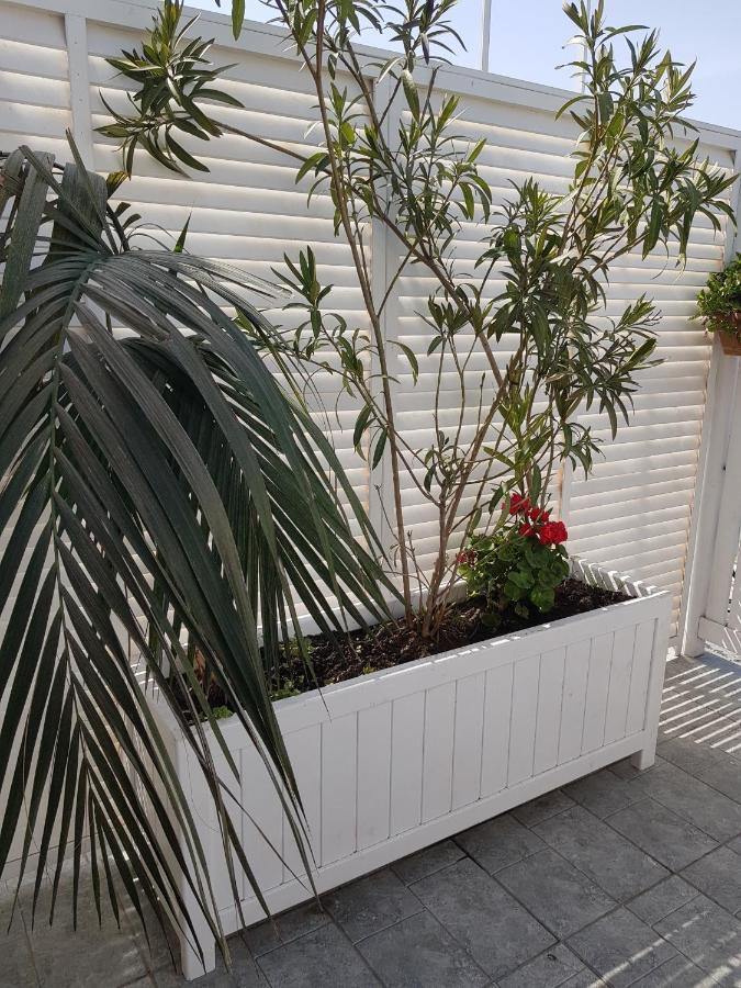 Citrus Boutique Hotel باكو المظهر الخارجي الصورة